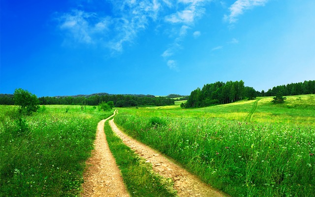 blog-image